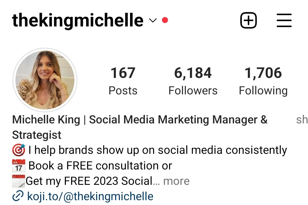 Michelle Instagram profile before working with Contelp
