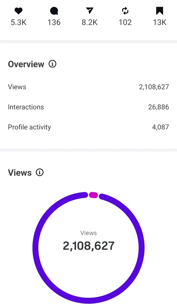 Client Instagram analytics after social media management (result 19)