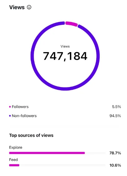 Instagram follower growth results for a Contelp client (result 28)
